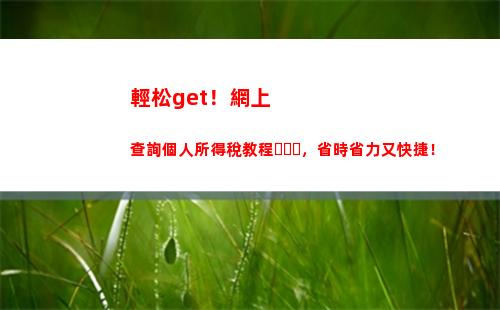 想知道自己的個稅余額？快來試試李景付個人所得稅查詢！
